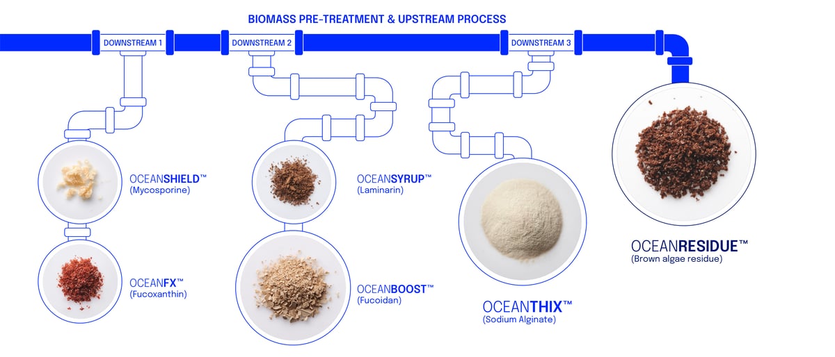 Biomass-treatment-process