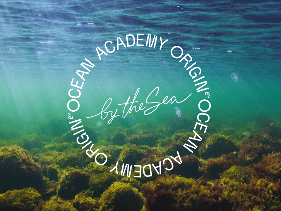 ObO_Academy_by_the_Sea_logo
