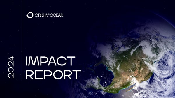 Impact Report 2024