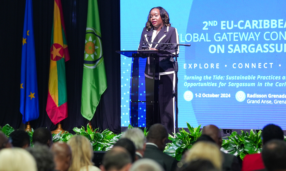 The Tide-turning EU-Caribbean Global Gateway Conference on Sargassum